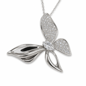 The Metamorph Butterfly